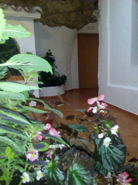 Hostal Batato Vejer de la Frontera Eksteriør bilde