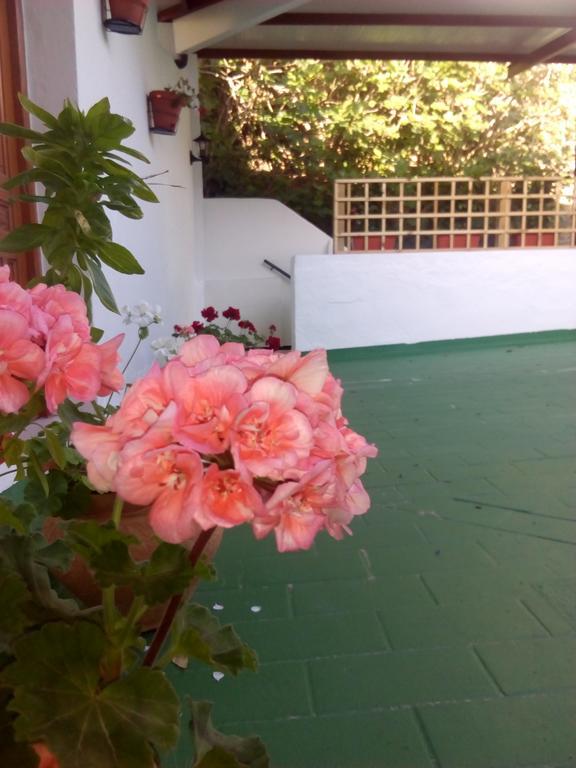 Hostal Batato Vejer de la Frontera Eksteriør bilde