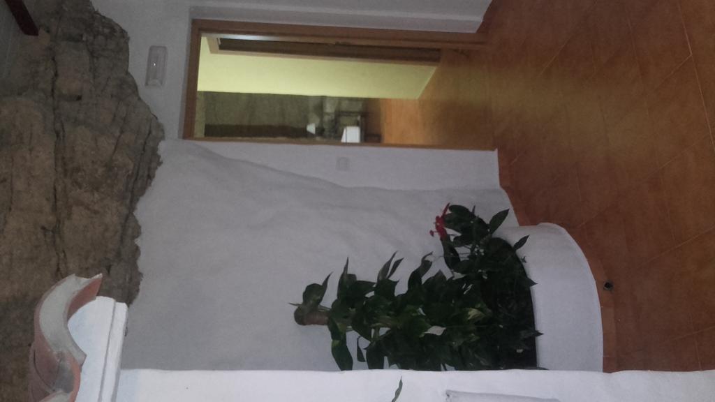 Hostal Batato Vejer de la Frontera Eksteriør bilde