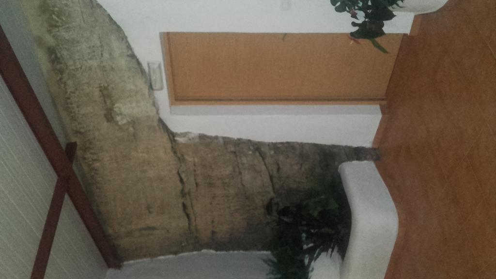 Hostal Batato Vejer de la Frontera Eksteriør bilde